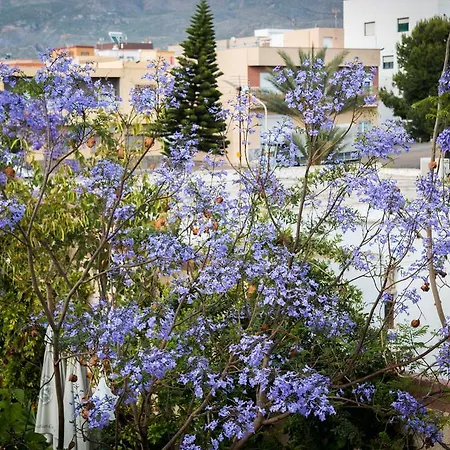 Maison d'hôtes Restaurante La Curva Adra